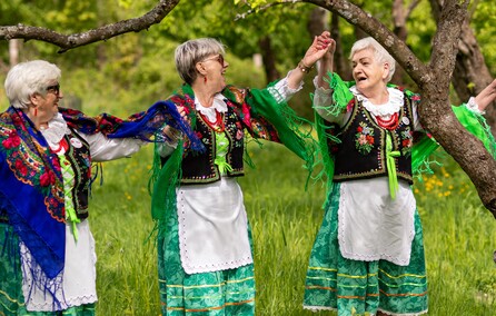 Sasanki pełne energii