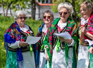 Sasanki pełne energii