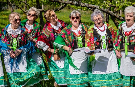 Sasanki pełne energii