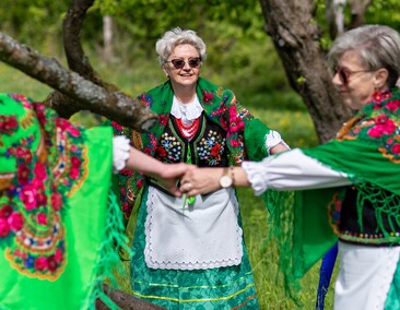 Sasanki pełne energii