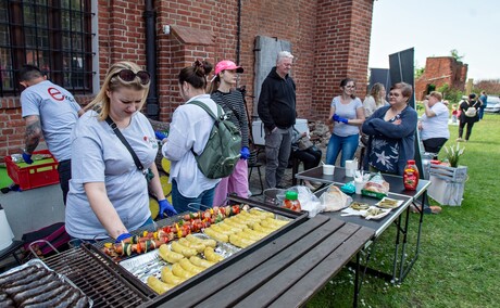 Elbląg nadał TON na pikniku Elbląg nadał TON na pikniku