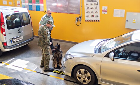 Nos i cztery łapy na służbie