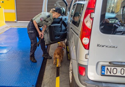 Nos i cztery łapy na służbie