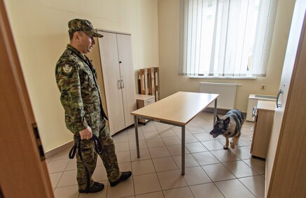 Nos i cztery łapy na służbie