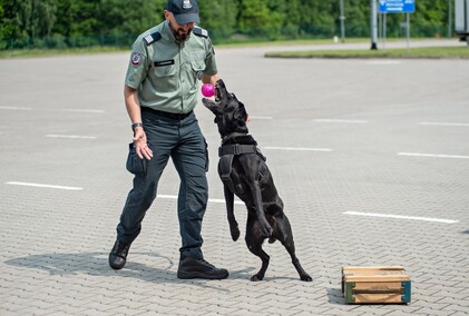 Nos i cztery łapy na służbie