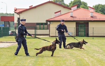 Nos i cztery łapy na służbie
