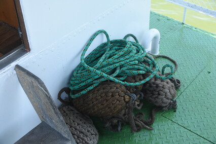 Jantar wrócił do domu