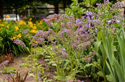 Szkolne klimaty Szkolne klimaty