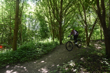 Powstały trasy dla miłośników MTB