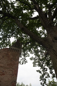 Ruiny pałacu Victora i Margarethe Fehlauer  (Letnie przystAnki  odc. 1) 