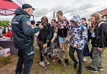 Wakacje tuż, tuż. Jak spędzić je bezpiecznie?
