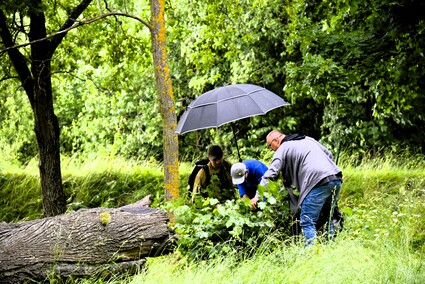 Świętowanie w Krainie Buka