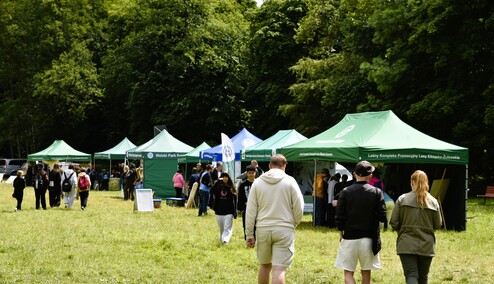 Świętowanie w Krainie Buka