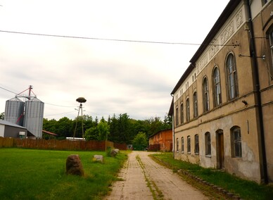 Dymnik  (Letnie przystAnki  odc. 2) 