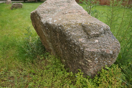 Dymnik  (Letnie przystAnki  odc. 2) 