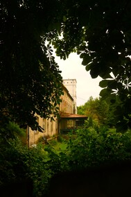 Dymnik  (Letnie przystAnki  odc. 2) 