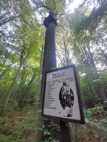 Piórkowo  (Letnie przystAnki  odc. 3) 