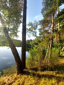 Piórkowo  (Letnie przystAnki  odc. 3) 