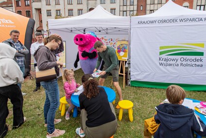 Lato z Radiem i Telewizją Polską w Elblągu