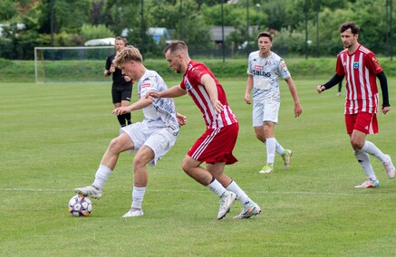 W tym tygodniu portEl poleca: Meble Wójcik Ultra Wysoczyznę, wernisaże i wystawy