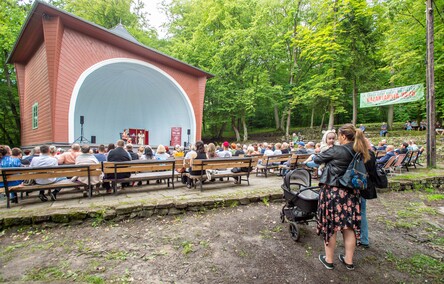 Scena, stolik, salon, Bażantarnia