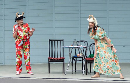 Scena, stolik, salon, Bażantarnia