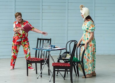 Scena, stolik, salon, Bażantarnia