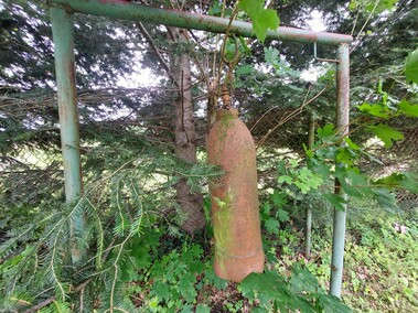 Pęciszewo  (Letnie przystAnki  odc. 4) 