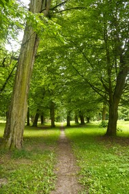 Ogród w Waplewie  (Letnie przystAnki  odc. 5) 