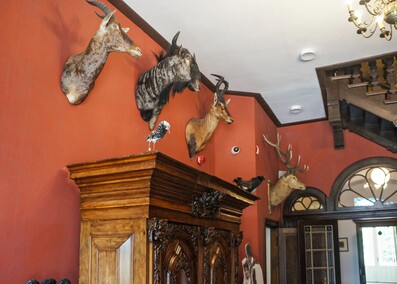 Ogród w Waplewie  (Letnie przystAnki  odc. 5) 