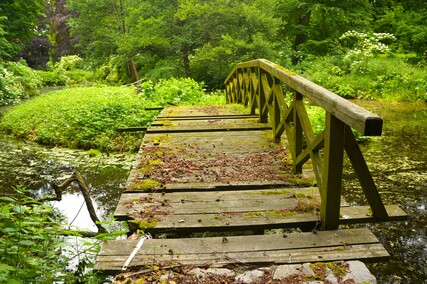 Ogród w Waplewie  (Letnie przystAnki  odc. 5) 