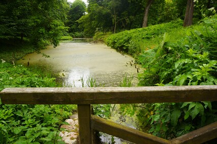 Ogród w Waplewie  (Letnie przystAnki  odc. 5) 