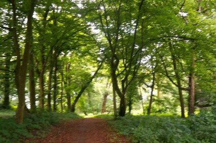 Ogród w Waplewie  (Letnie przystAnki  odc. 5) 