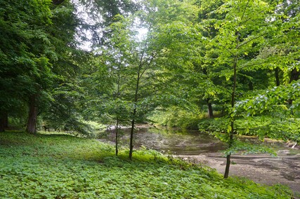 Ogród w Waplewie  (Letnie przystAnki  odc. 5) 