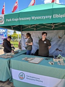 Filozofia wyższa. Odzyskuję, więc jestem!