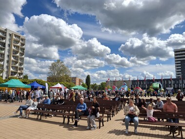 Filozofia wyższa. Odzyskuję, więc jestem!