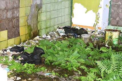 Rośliny wracają do hal po Komnicku