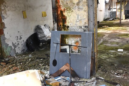 Rośliny wracają do hal po Komnicku