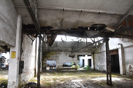 Rośliny wracają do hal po Komnicku