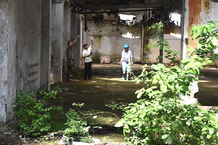 Rośliny wracają do hal po Komnicku