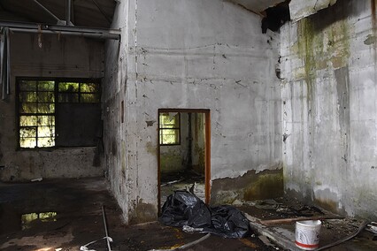 Rośliny wracają do hal po Komnicku