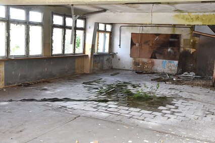 Rośliny wracają do hal po Komnicku