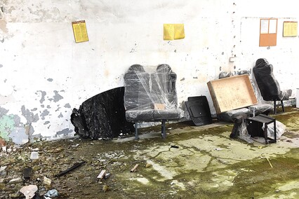 Rośliny wracają do hal po Komnicku