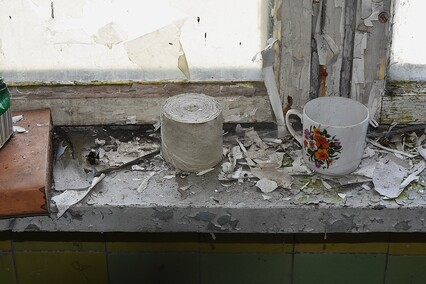 Rośliny wracają do hal po Komnicku