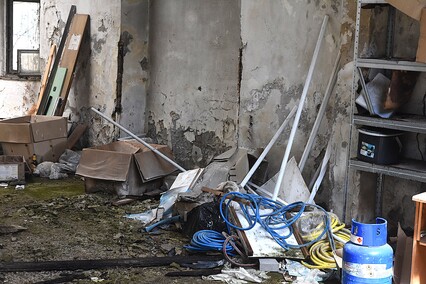 Rośliny wracają do hal po Komnicku