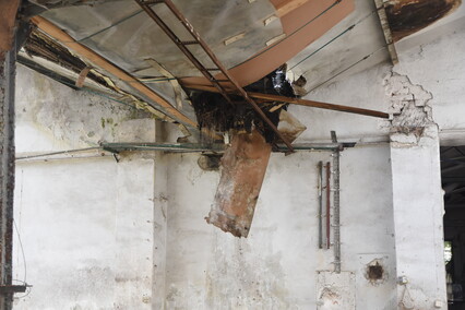 Rośliny wracają do hal po Komnicku