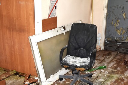 Rośliny wracają do hal po Komnicku Rośliny wracają do hal po Komnicku