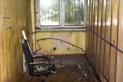 Rośliny wracają do hal po Komnicku