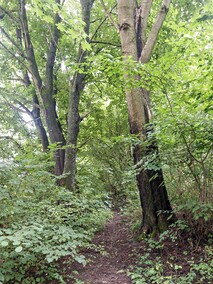 Rudłowo   (Letnie przystAnki  odc. 6) 