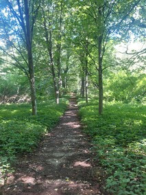 Pałac nad jeziorem  (Letnie przystAnki  odc. 8) 
